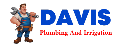 Trusted plumber in SILVER PLUME